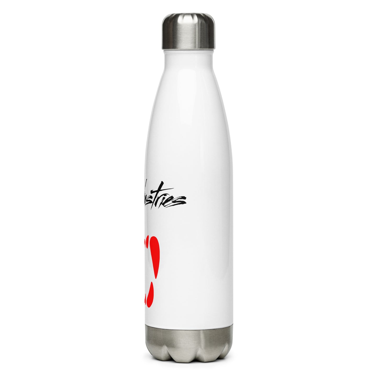 Stainless Steel Water Bottle