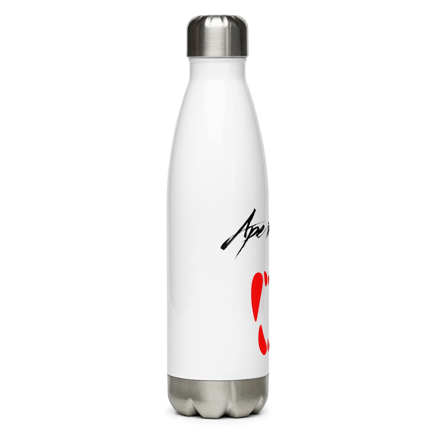 Stainless Steel Water Bottle