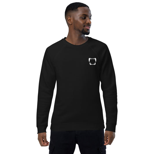 Unisex Raglan Sweatshirt