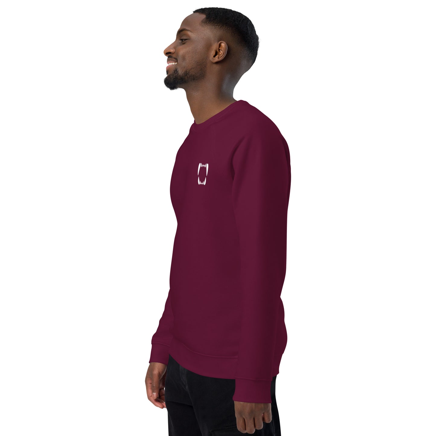 Unisex Raglan Sweatshirt