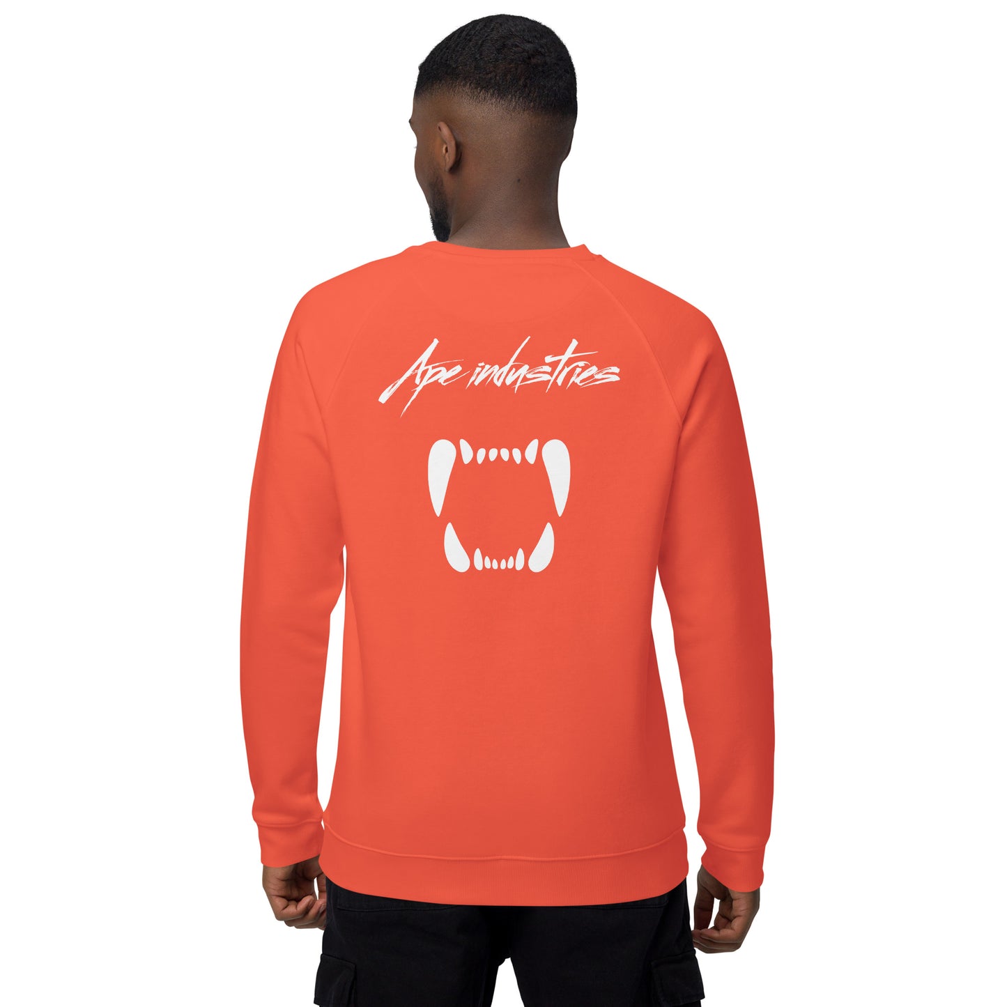 Unisex Raglan Sweatshirt