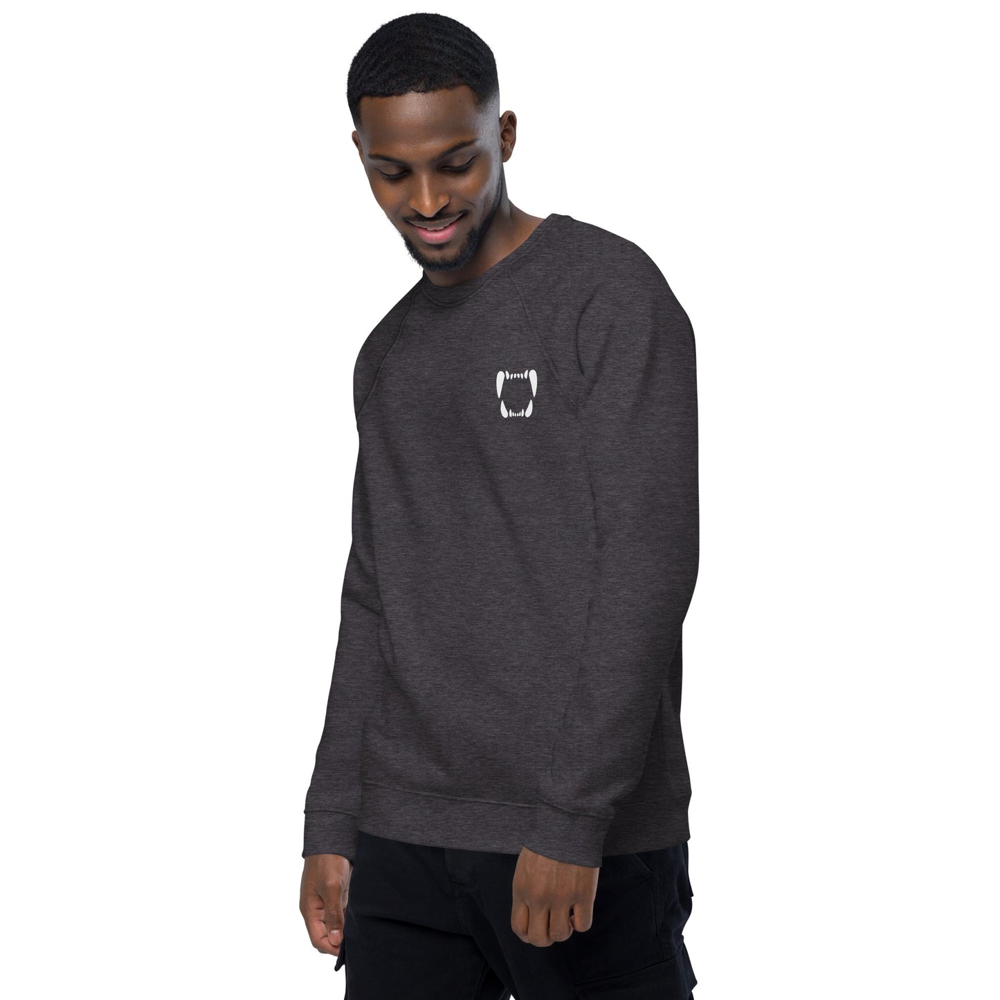 Unisex Raglan Sweatshirt